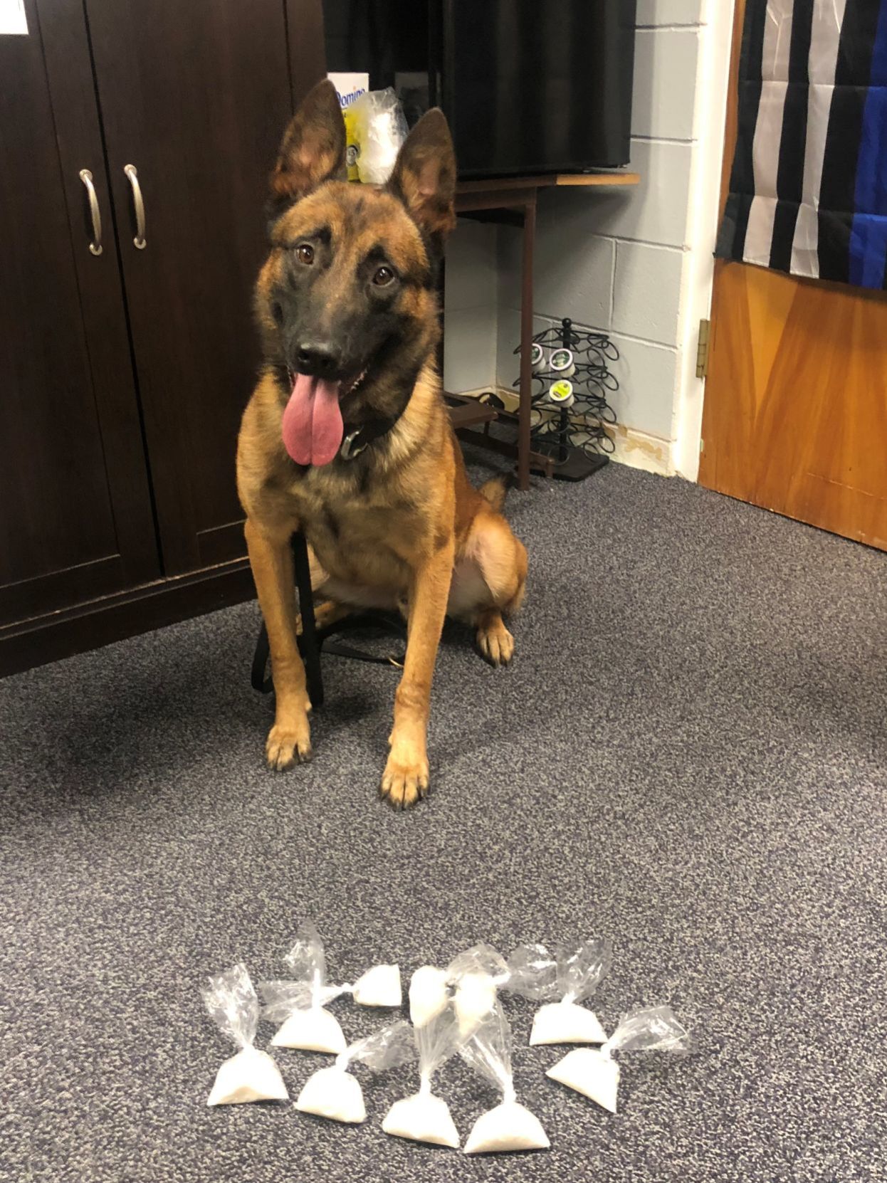 K9 Patrolman Korey Crosby and K9 Ace